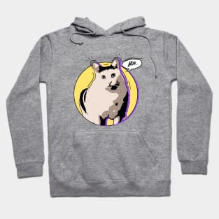 huh cat comic style Hoodie